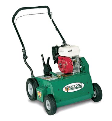 Dethatcher (rake - power)